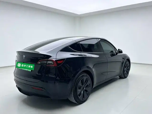 Tesla Model Y — Фото автомобиля 6