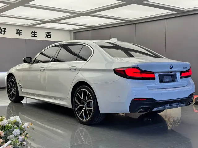 BMW 5 Series — Фото автомобиля 14