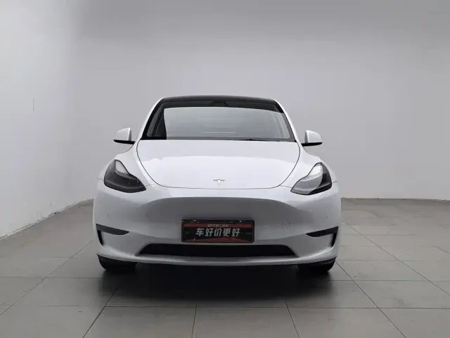 Tesla Model Y — Фото автомобиля 3