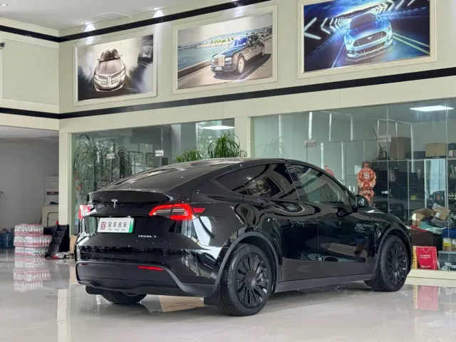Tesla Model Y — Фото автомобиля 15