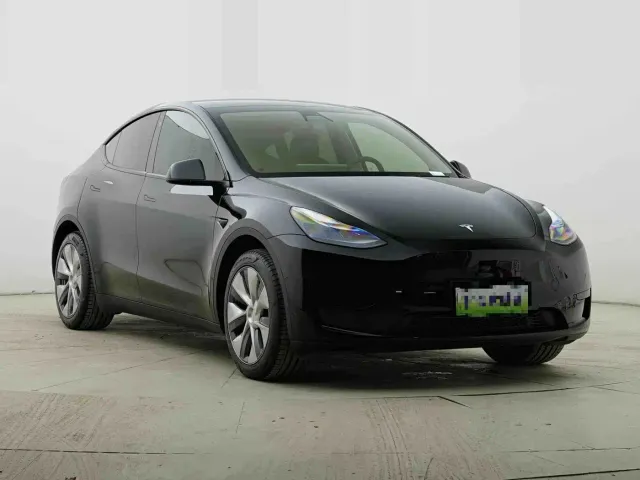 Tesla Model Y — Фото автомобиля 2