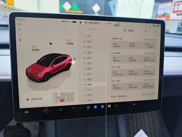 Tesla Model Y — Фото автомобиля 12