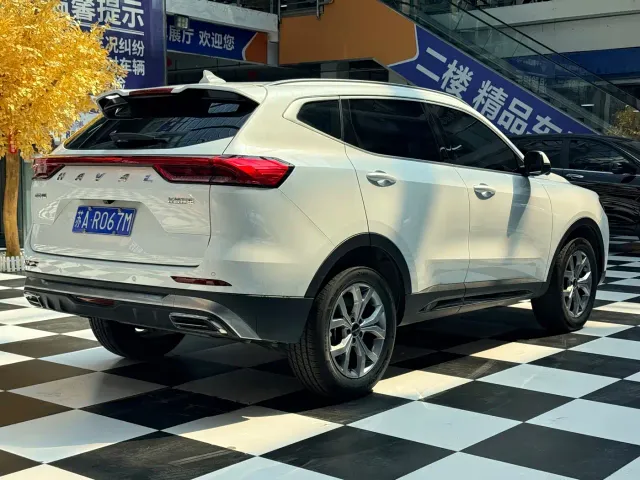 Haval H6 — Фото автомобиля 6