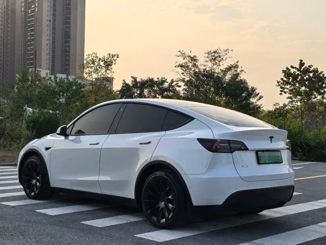Tesla Model Y — Фото автомобиля 3