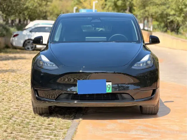 Tesla Model Y — Фото автомобиля 2