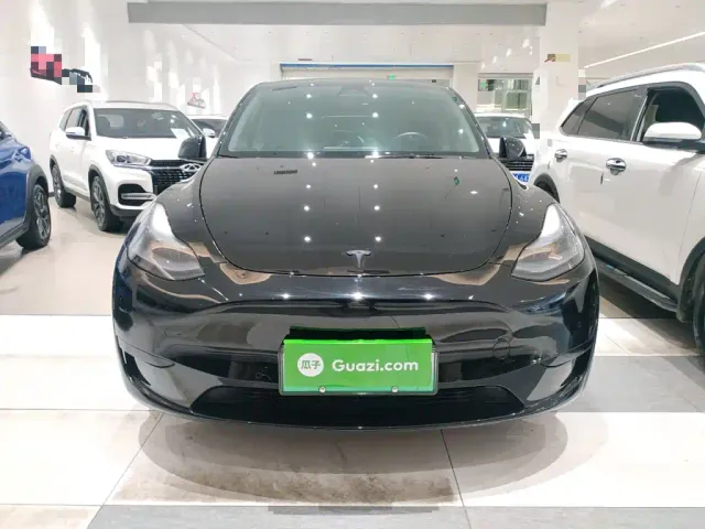 Tesla Model Y — Фото автомобиля 2