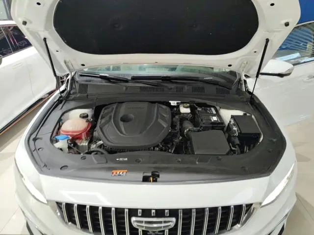 Geely Xing Rui 2023 2.0TD Premium Model — Фото автомобиля 15