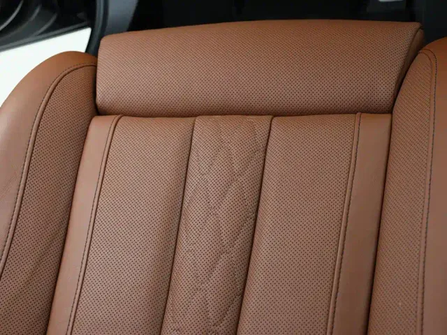 BMW X7 — Фото автомобиля 23