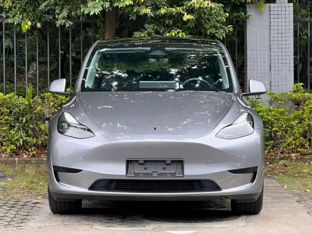 Tesla Model Y — Фото автомобиля 2