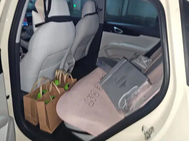 Geely Starry Wish — Фото автомобиля 11
