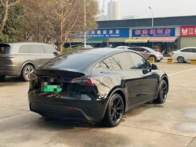Tesla Model Y — Фото автомобиля 9