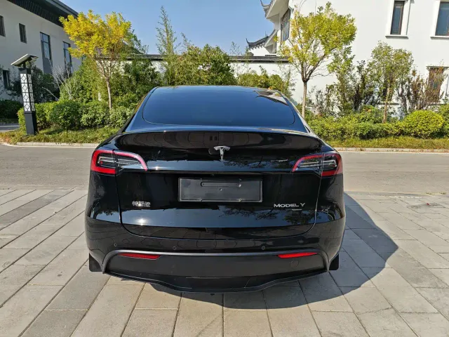 Tesla Model Y — Фото автомобиля 10