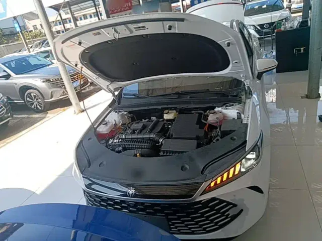 BYD Qin PLUS — Фото автомобиля 19