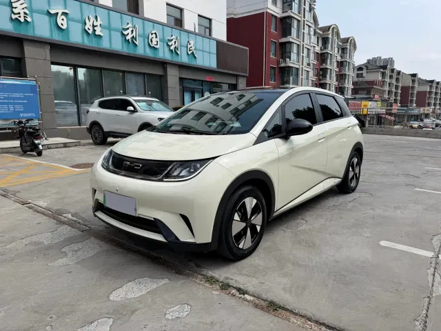 Фотография автомобиля — BYD Dolphin