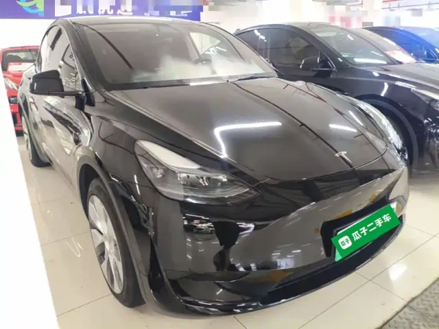 Tesla Model Y — Фото автомобиля 3