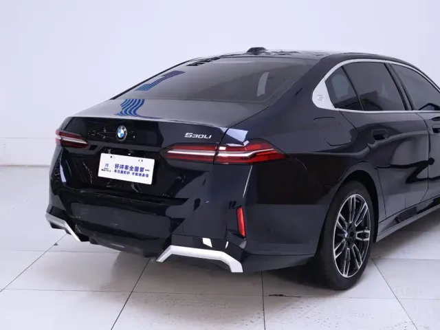 BMW 5 Series — Фото автомобиля 8