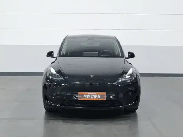 Tesla Model Y — Фото автомобиля 3