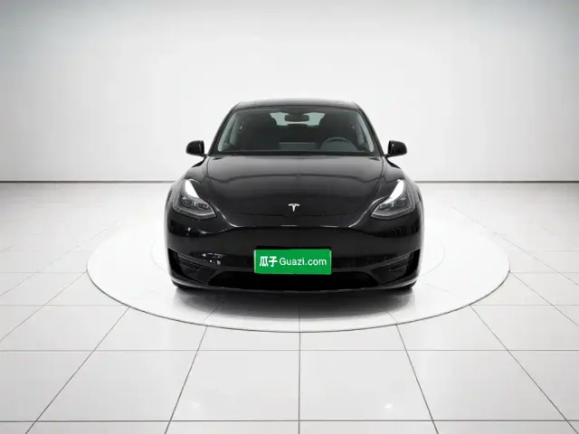Tesla Model Y — Фото автомобиля 2