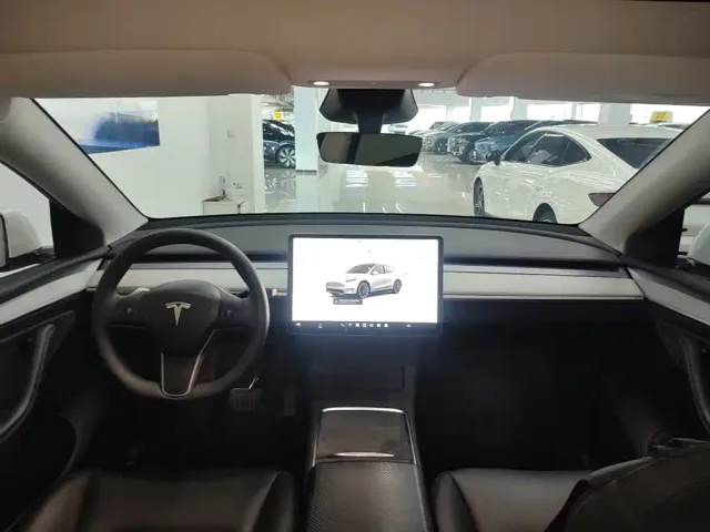 Tesla Model Y — Фото автомобиля 9