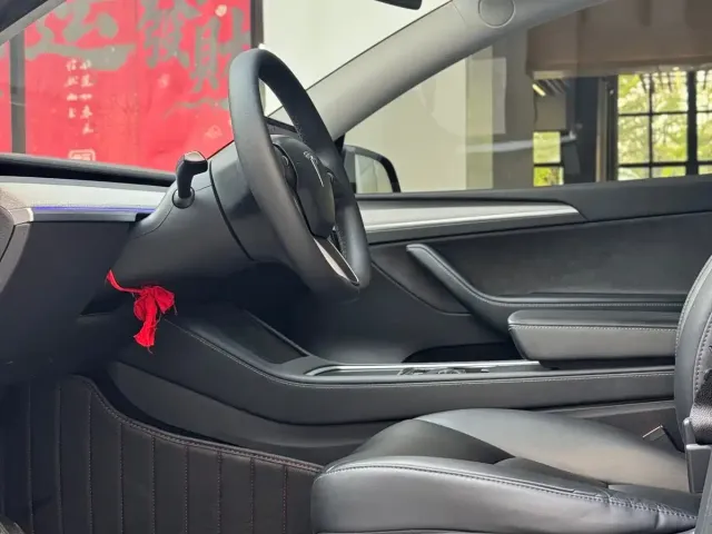 Tesla Model Y — Фото автомобиля 6