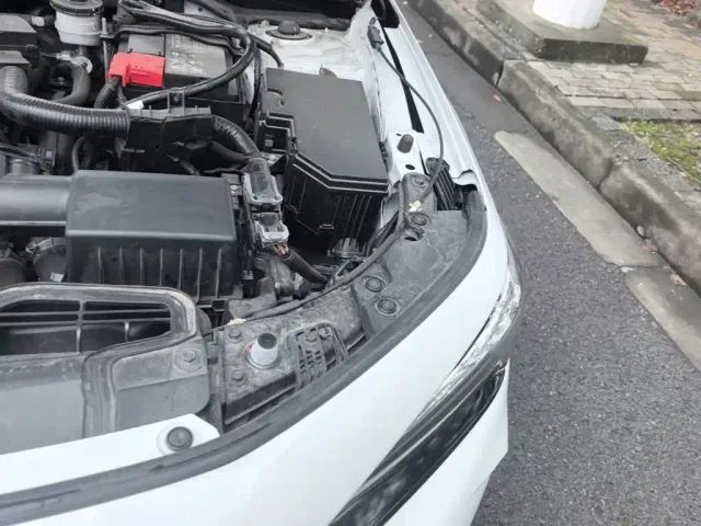 Honda Civic — Фото автомобиля 21