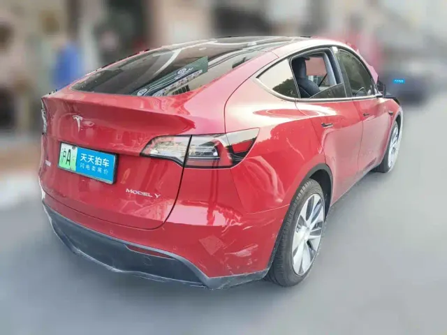 Tesla Model Y — Фото автомобиля 2