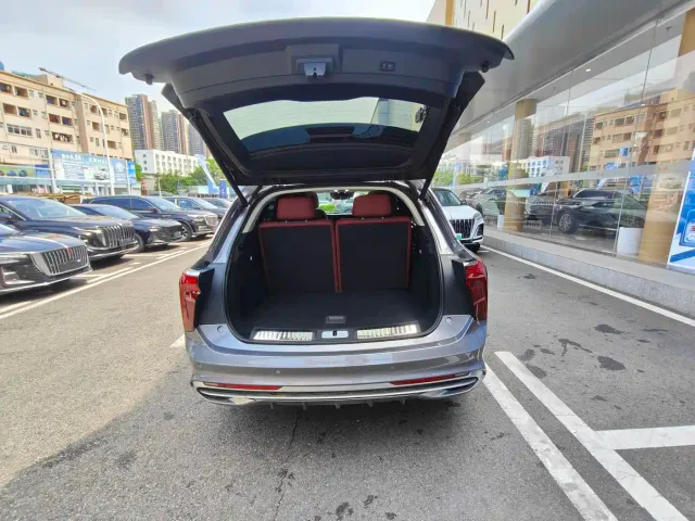 Hongqi E-HS9 — Фото автомобиля 15