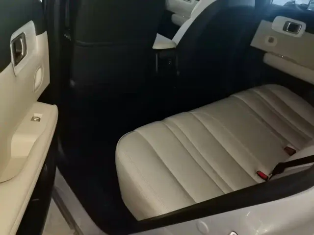 Wuling Starlight S — Фото автомобиля 16