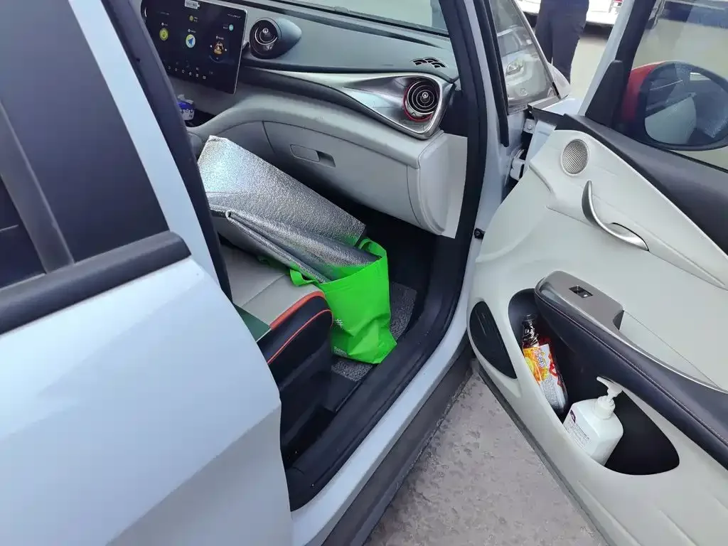 BYD Dolphin 2021 Model 405km Fashion Edition — Фото автомобиля 19