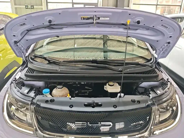BYD Dolphin — Фото автомобиля 19