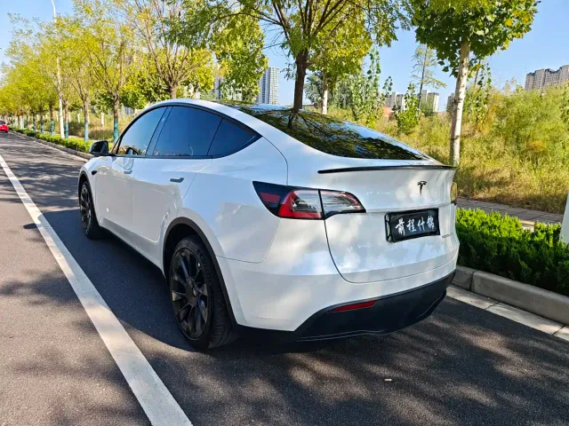 Tesla Model Y — Фото автомобиля 4