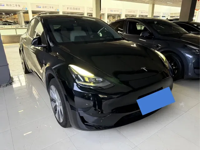 Tesla Model Y — Фото автомобиля 3