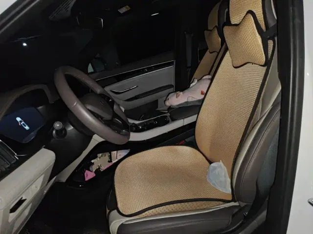 BYD Song PLUS — Фото автомобиля 16