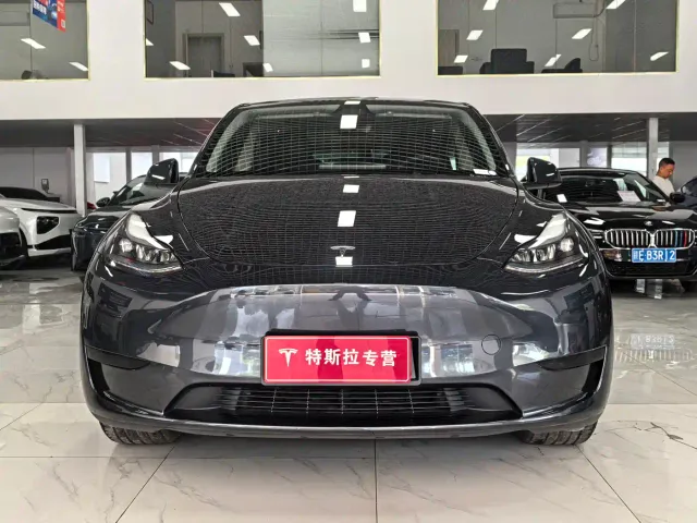 Tesla Model Y — Фото автомобиля 2