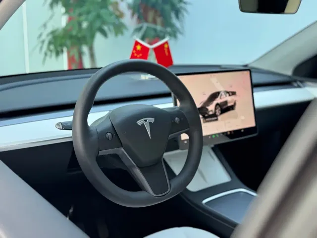Tesla Model Y — Фото автомобиля 8