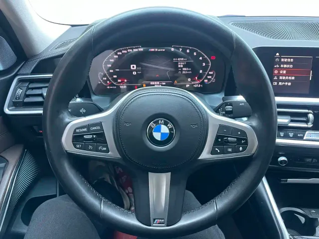 BMW 3 Series — Фото автомобиля 9