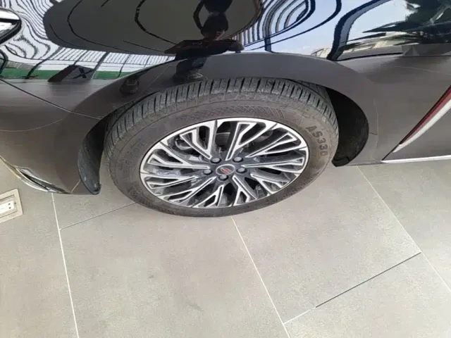 Hongqi Hongqi H5 2025 2.0T Automatic Flag Celebration 500,000 Units Anniversary Edition — Фото автомобиля 22