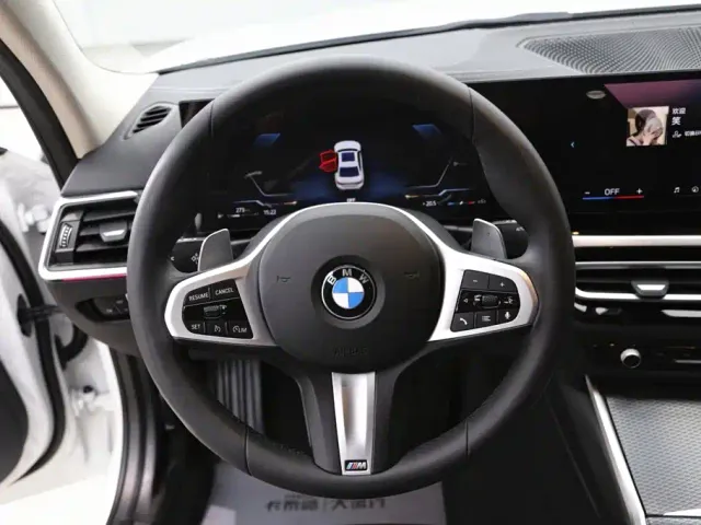 BMW 3 Series — Фото автомобиля 15