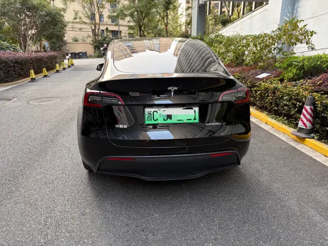 Tesla Model Y — Фото автомобиля 4