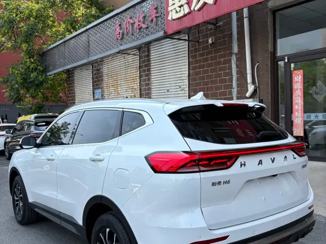 Haval H6 — Фото автомобиля 6