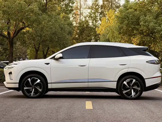BYD Sealion 06 — Фото автомобиля 8