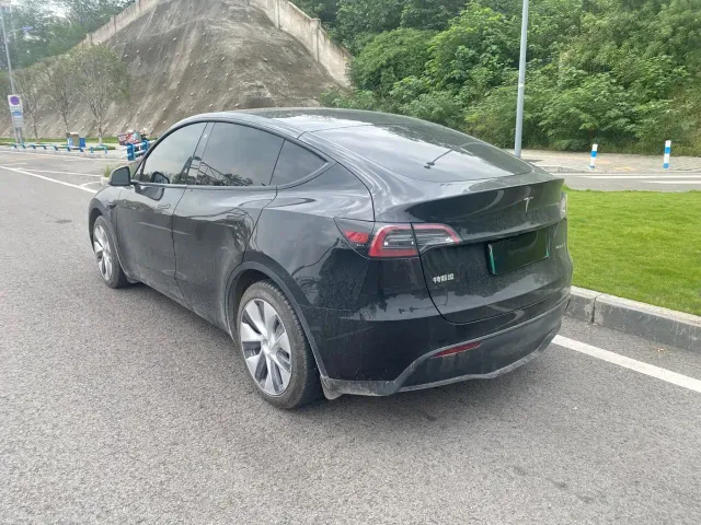 Tesla Model Y — Фото автомобиля 7