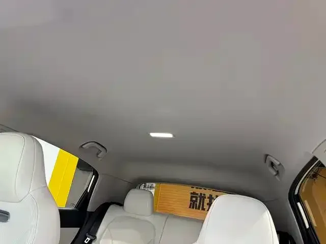 Geely Starry Wish — Фото автомобиля 14