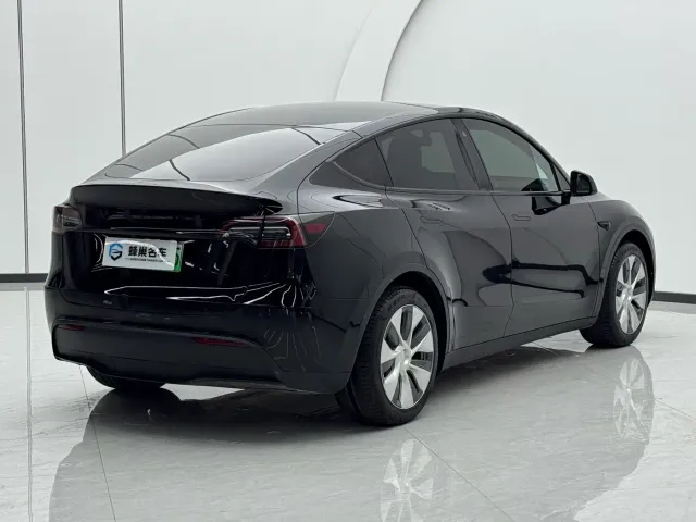 Tesla Model Y — Фото автомобиля 17