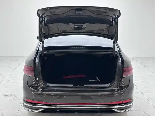 Volkswagen Sagitar — Фото автомобиля 14