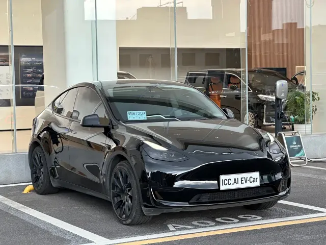 Tesla Model Y — Фото автомобиля 3