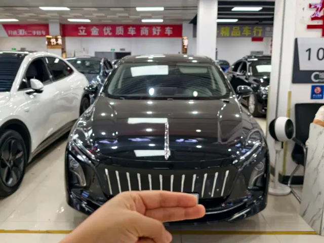 Фотография автомобиля — Hongqi E-QM5