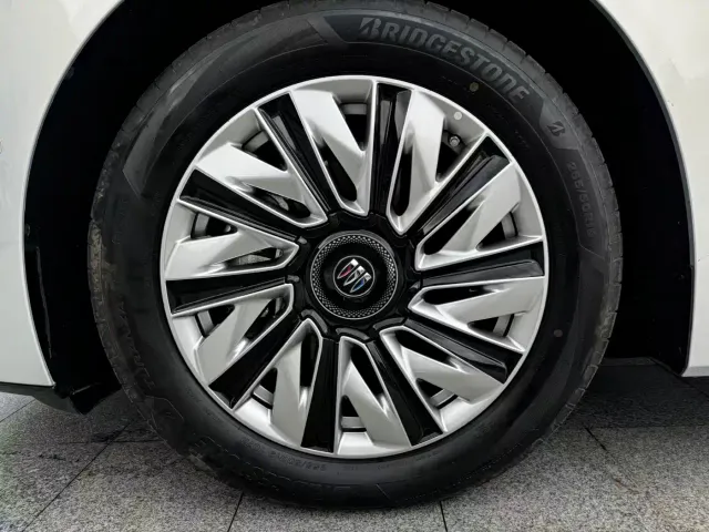 Buick Zhijing Shijia — Фото автомобиля 19