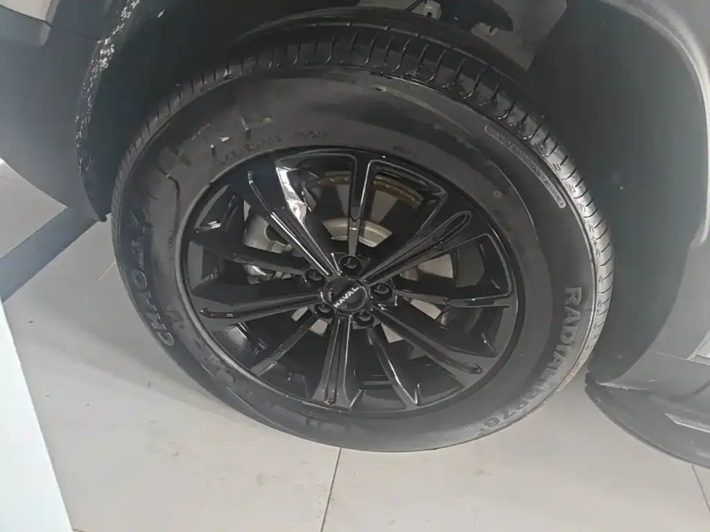 Haval Haval Meng Long NEV 2024 Hi4 102 Pro — Фото автомобиля 22