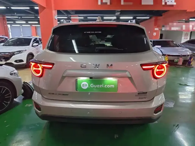 Haval Big Dog — Фото автомобиля 5